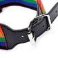 Kinky Pride Rainbow Bondage Set - Secret Spot